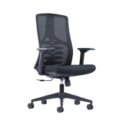 Forma X100: Ergo High-Performance Chair