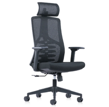 Forma X100H: Ergo High-Performance Chair (with Headrest)